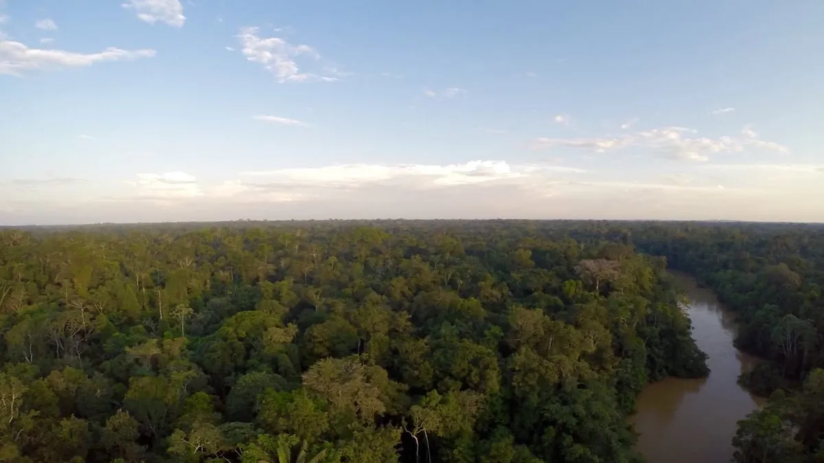 Drone investiga floresta amazônica
