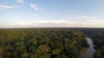 Drone investiga floresta amazônica