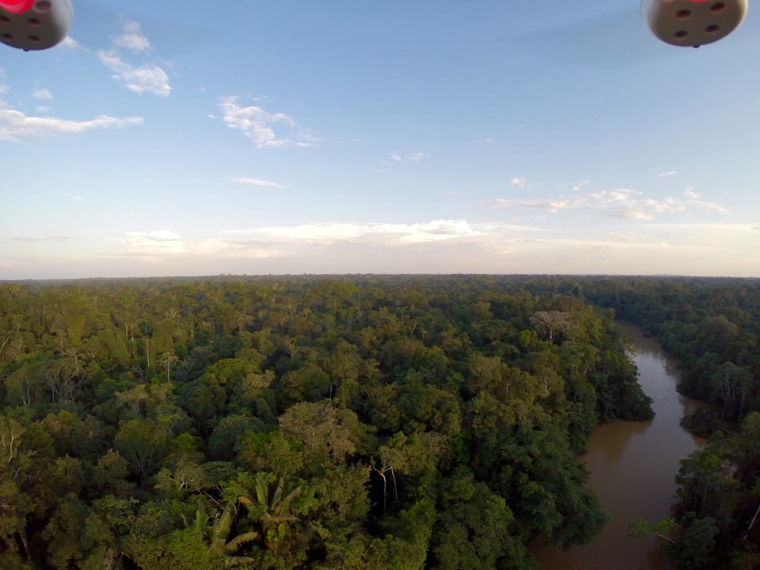 Drone na floresta amazônica