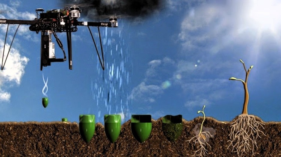 Drone plantador de árvores